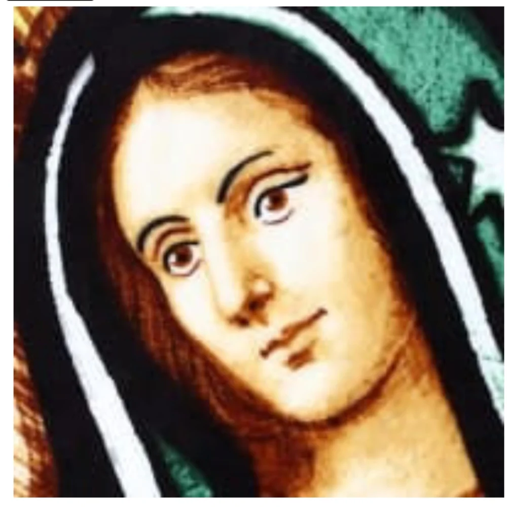 🆕La Virgen de Guadalupe-Blessed Mary Plush Blanket/Throw, ultra soft 50